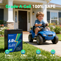 HeyFuture 6V 6Ah LiFePO4 battery with a 7.4V 1.2A charger included