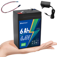 HeyFuture 6V 6Ah LiFePO4 battery with a 7.4V 1.2A charger included