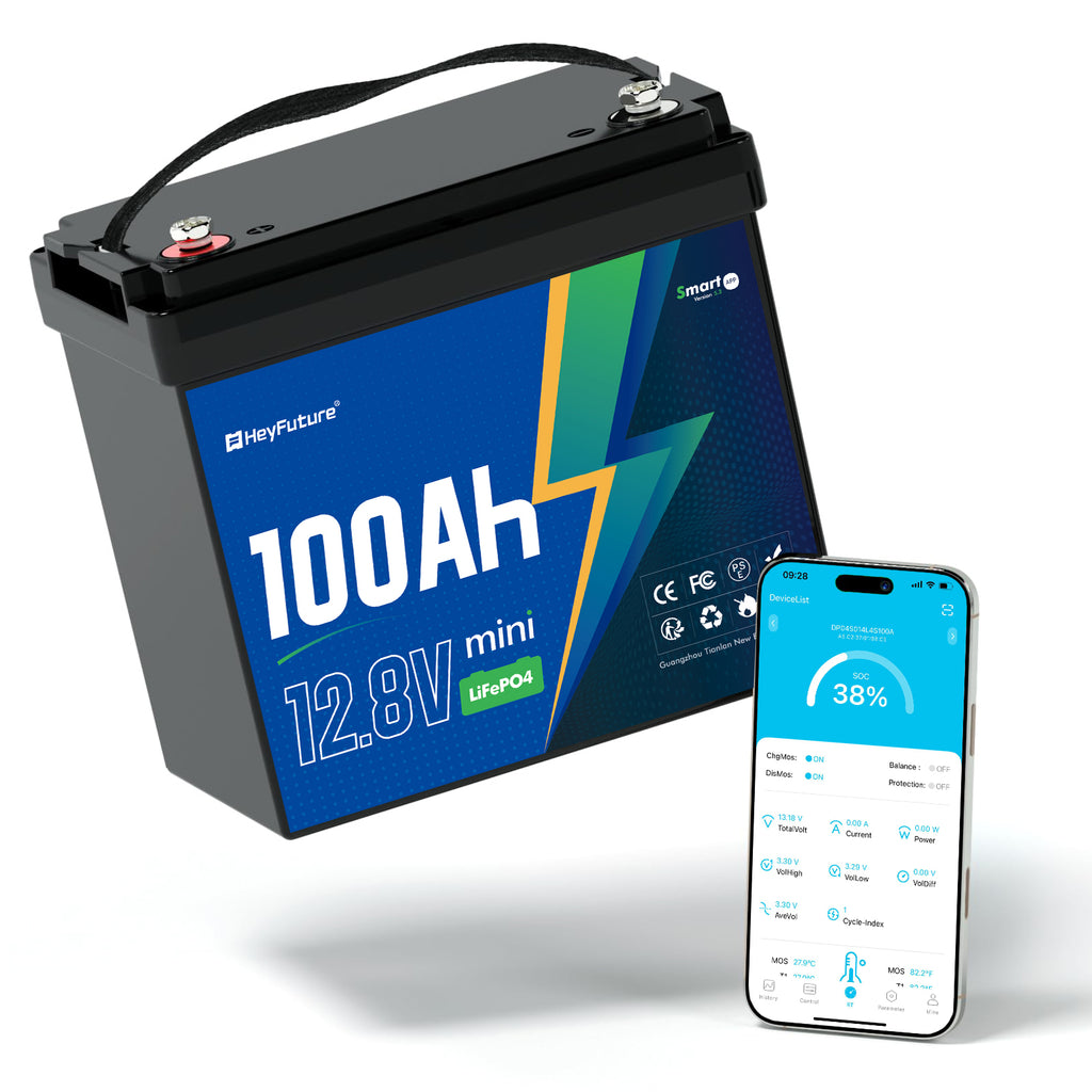 HeyFuture 12V100Ah Bluetooth Mini LiFePO4 Battery