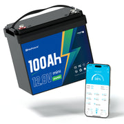 HeyFuture 12V100Ah Bluetooth Mini LiFePO4 Battery