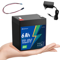 HeyFuture 12V 6Ah LiFePO4 battery with a 14.6V 1.2A charger included