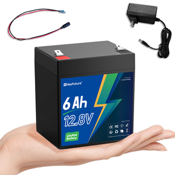 HeyFuture 12V 6Ah LiFePO4 battery with a 14.6V 1.2A charger included