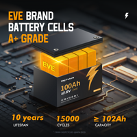 HeyFuture 12V 100Ah LiFePO4 Deep Cycle Lithium Battery