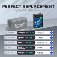 HeyFuture 6V 6Ah LiFePO4 battery with a 7.4V 1.2A charger included