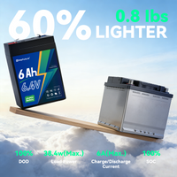 HeyFuture 6V 6Ah LiFePO4 battery with a 7.4V 1.2A charger included